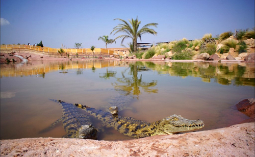 CROCOPARC