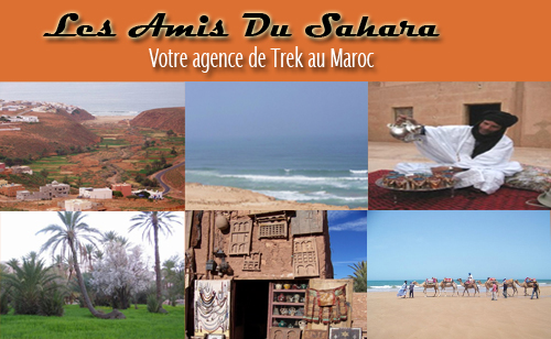 LES AMIS DU SAHARA