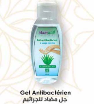 gel antibacterien hydroalcolique enrichi a l'aloe vera bio 100ml1