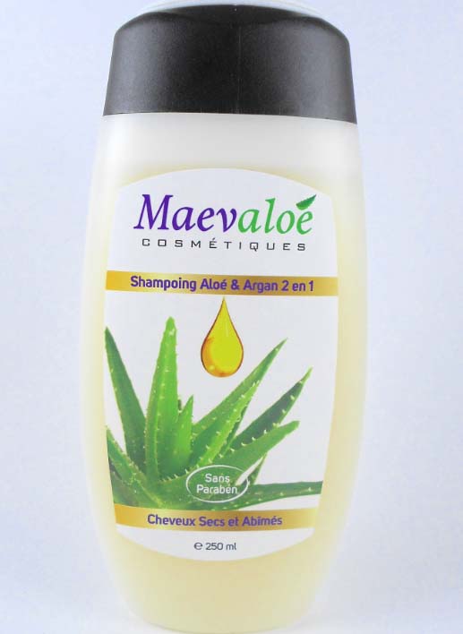 Shampoing cheveux secs et abimes a l'aloe vera et argan1