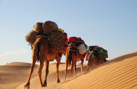 Trek désert Maroc 