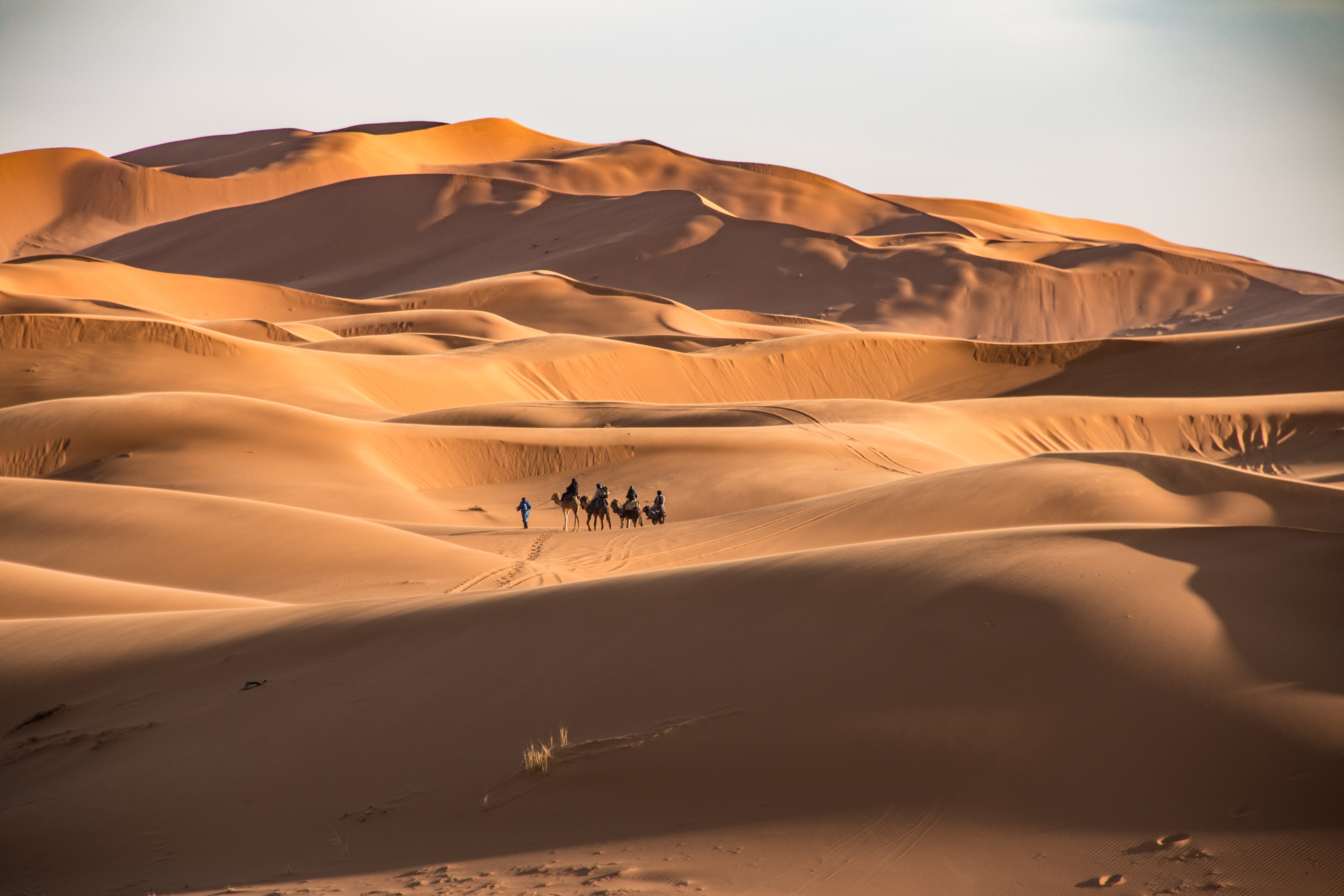 great desert tours